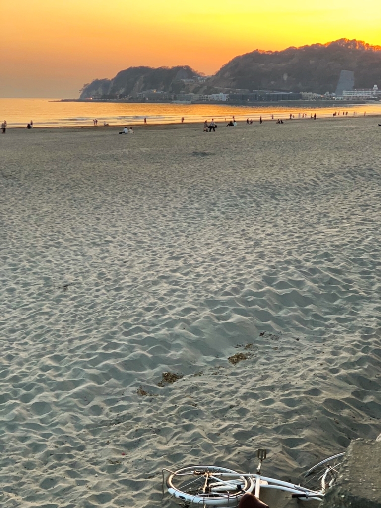 自転車が気になって・・・