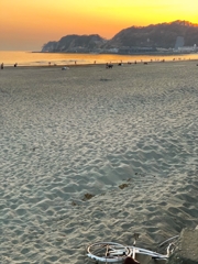 自転車が気になって・・・