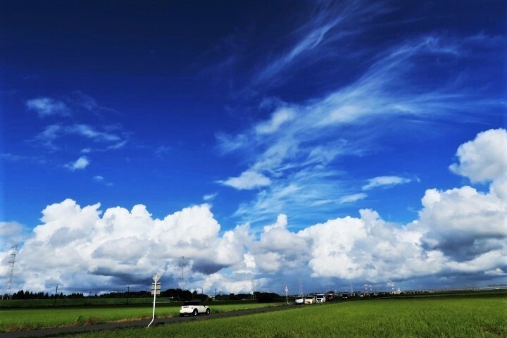 移り季の空
