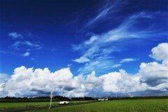 移り季の空