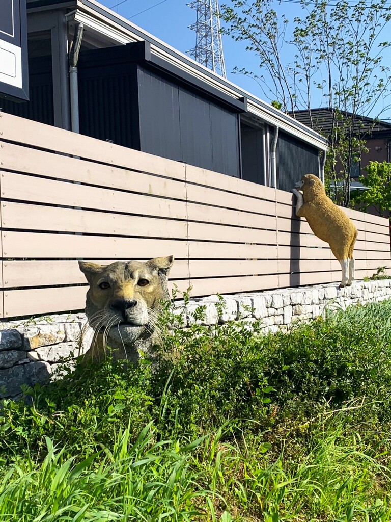 虎と羊のいる家