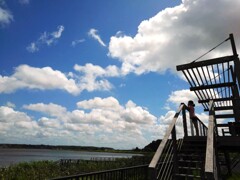 夏、惜しむ、、、