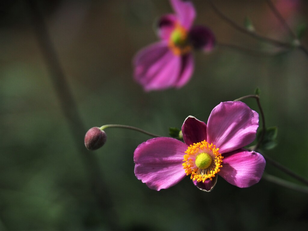 こっちへおいで♪