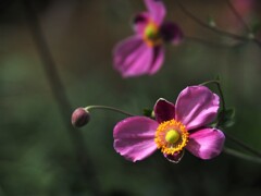 こっちへおいで♪