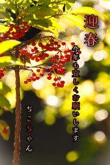 2026・あけましておめでとうございます