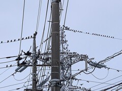 「ソーシャルディスタンス」