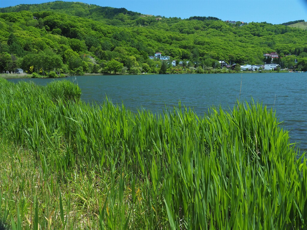湖畔の宿♪