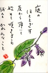 秋の野草