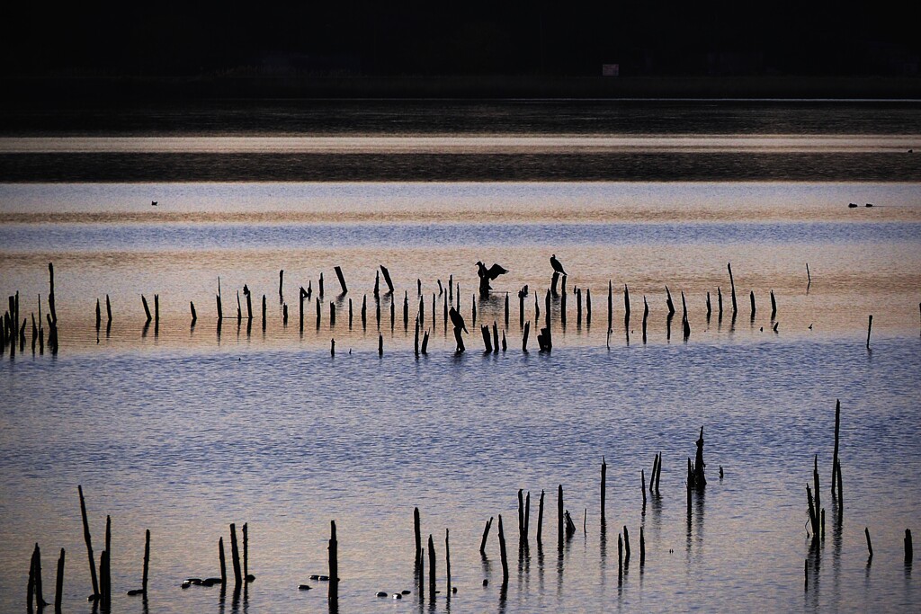 刻々と変わる湖面