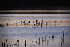 刻々と変わる湖面