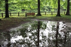 静けさを映す水面
