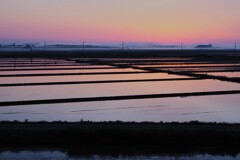 田植えの準備完了！