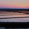 田植えの準備完了！