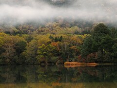 目覚める湖畔の彩り