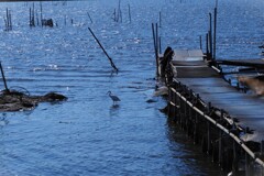 お父さんの指定席