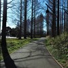 早春の散歩道