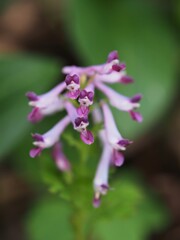 目が会ってしまったーー