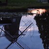カモが目覚める公園の池