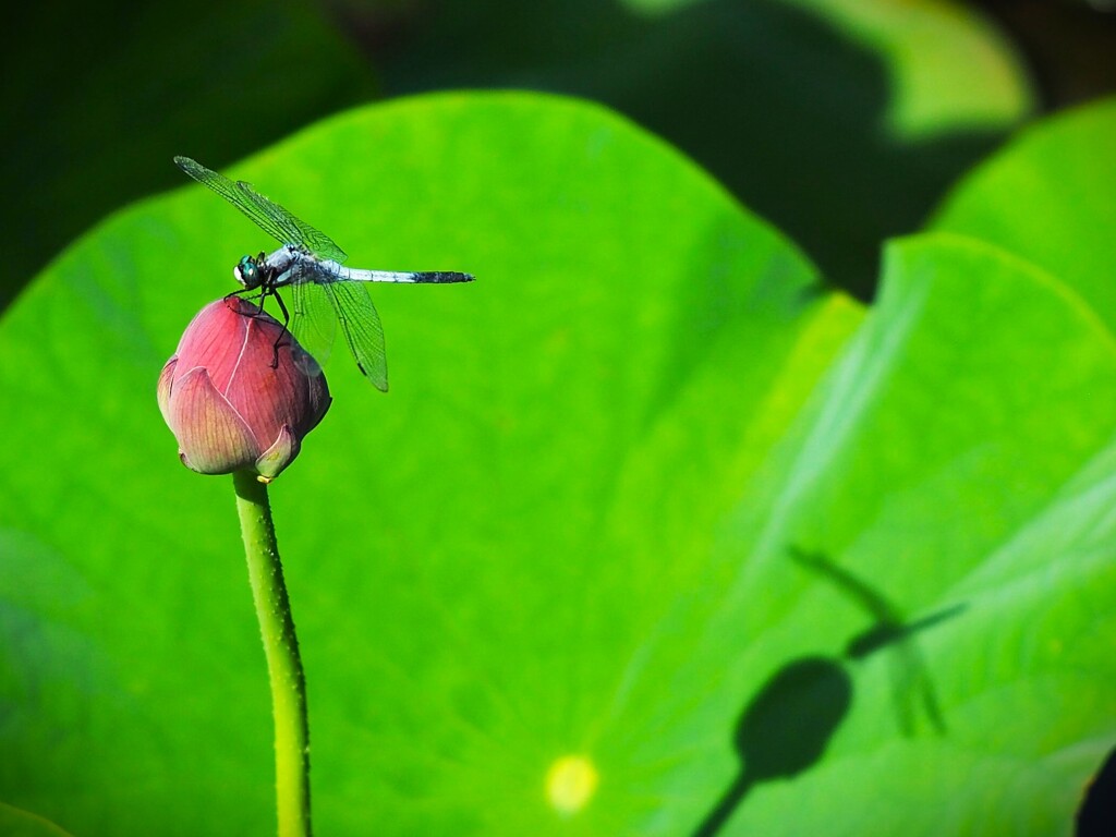 やっぱり、ここが好き