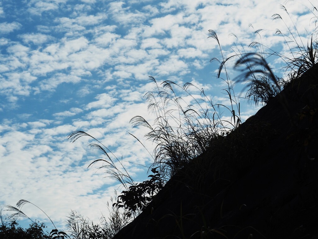 法面から秋景