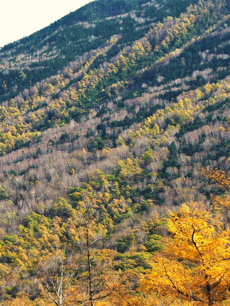 晩秋の男体山