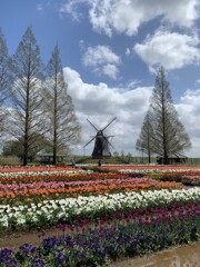 雨上がりの公園③