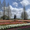 雨上がりの公園③