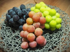 嬉しい戴きもの