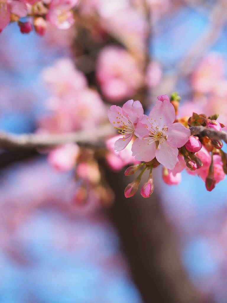 啓蟄（3月4日）