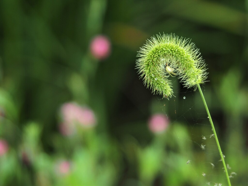 僕のお家へようこそ～