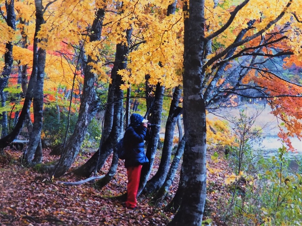 何を狙っているんですか？