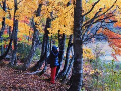 何を狙っているんですか？