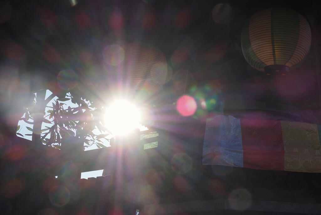 今年は虹色の予感♡