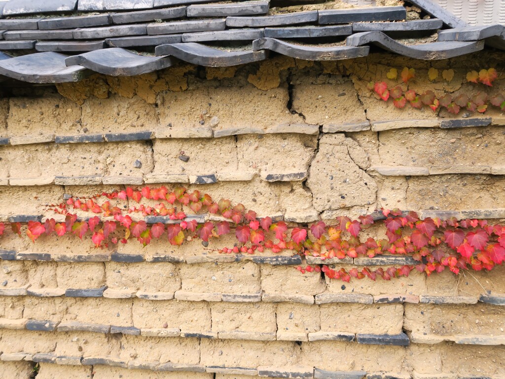 秋色の土塀
