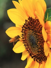 お邪魔しま～す