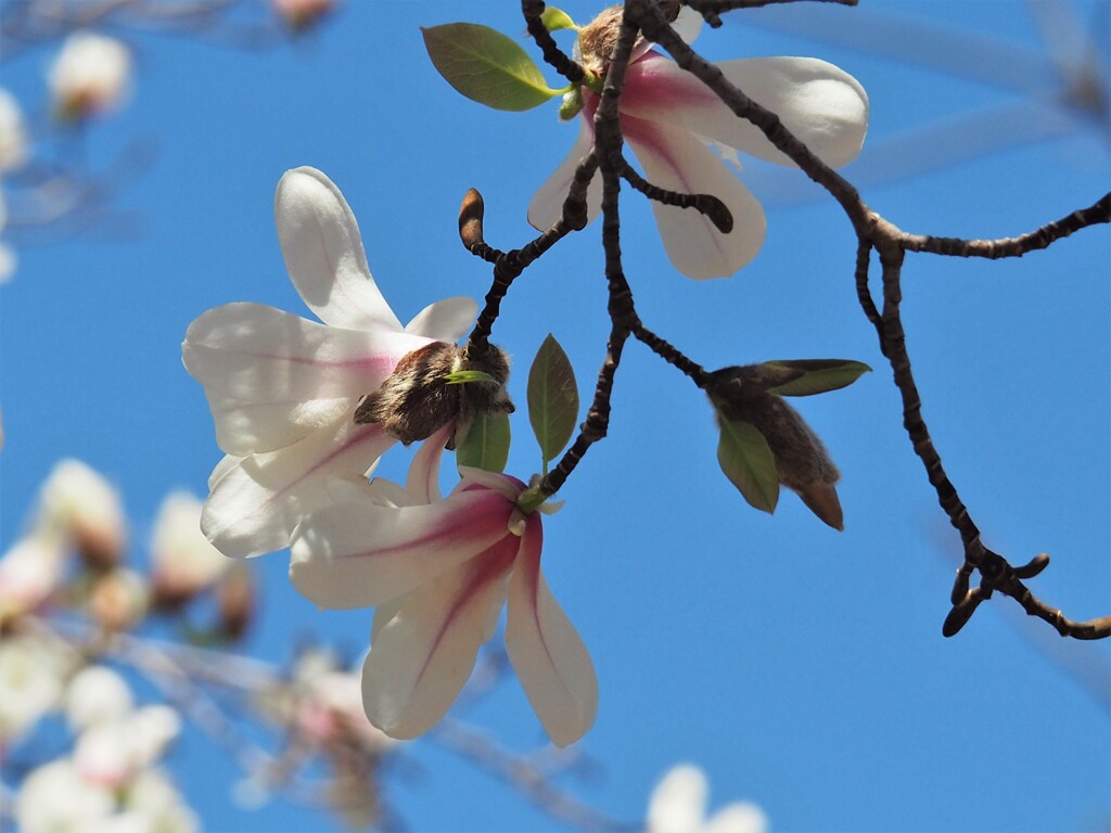 今日も笑顔で♡♡