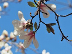 今日も笑顔で♡♡