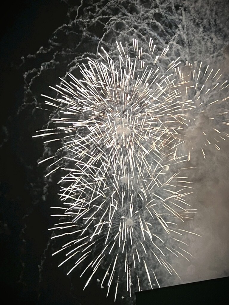 手賀沼花火④
