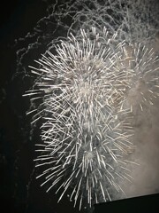 手賀沼花火④