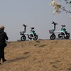 初夏のような散歩道②