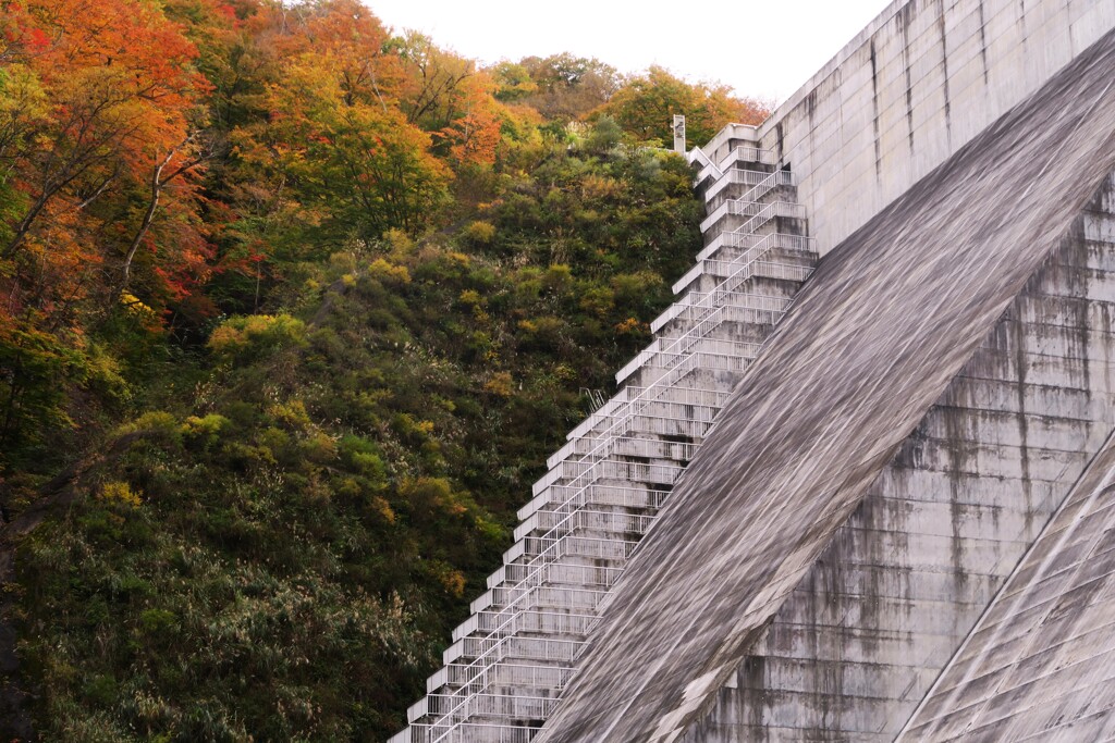 錦秋の八ッ場ダム（やんばダム）