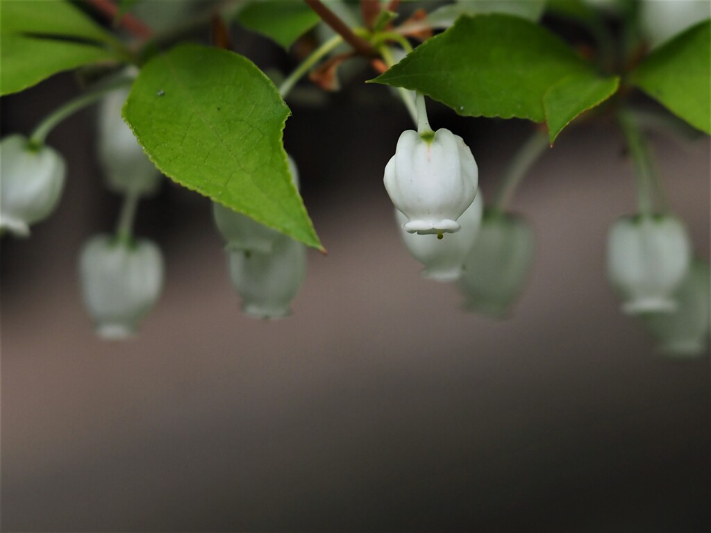 やっとこさ、しがみ付いたよ❣