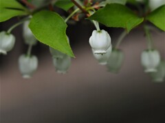 やっとこさ、しがみ付いたよ❣