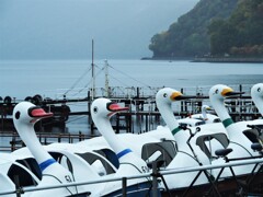 支笏湖で遊ぶ（2)