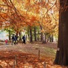 秋色の公園
