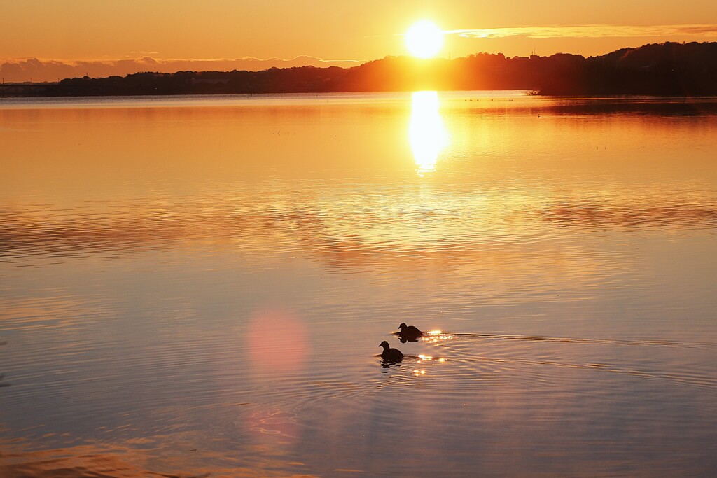 お正月の日の出②