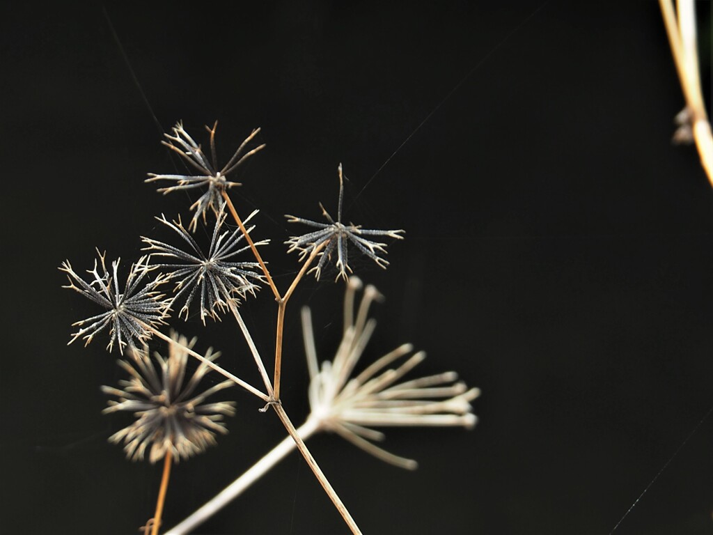 1ヶ月前の今日(1)