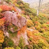 紅葉の中を空中散歩