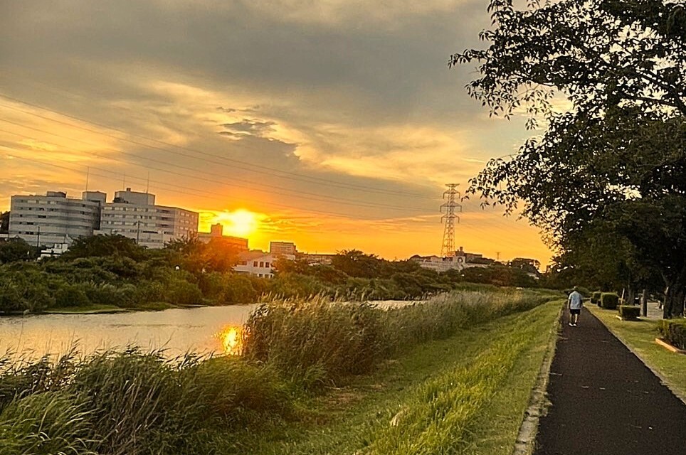 夕方の散歩道