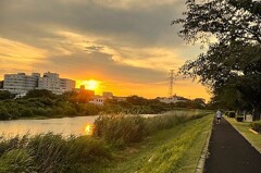 夕方の散歩道